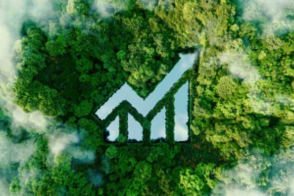 币圈再迎利好！特朗普签署行政令 允许养老金投资另类资产